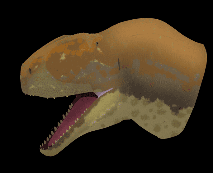 Reconstrucción de lo que fue un Majungasaurinae según Javier Mora Fernández, estudiante de Ciencias Geológicas de la UCM.